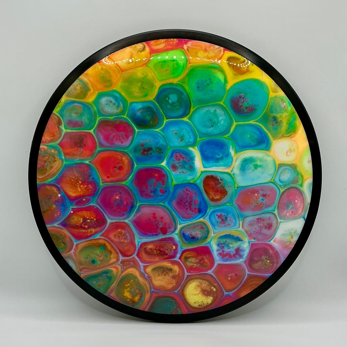 Dolfin Dyed MVP Neutron Servo