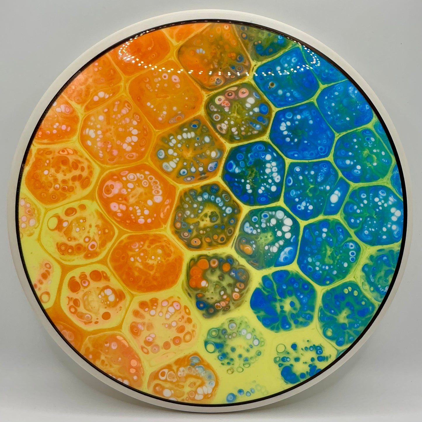 Dolfin Dyed MVP Neutron Detour