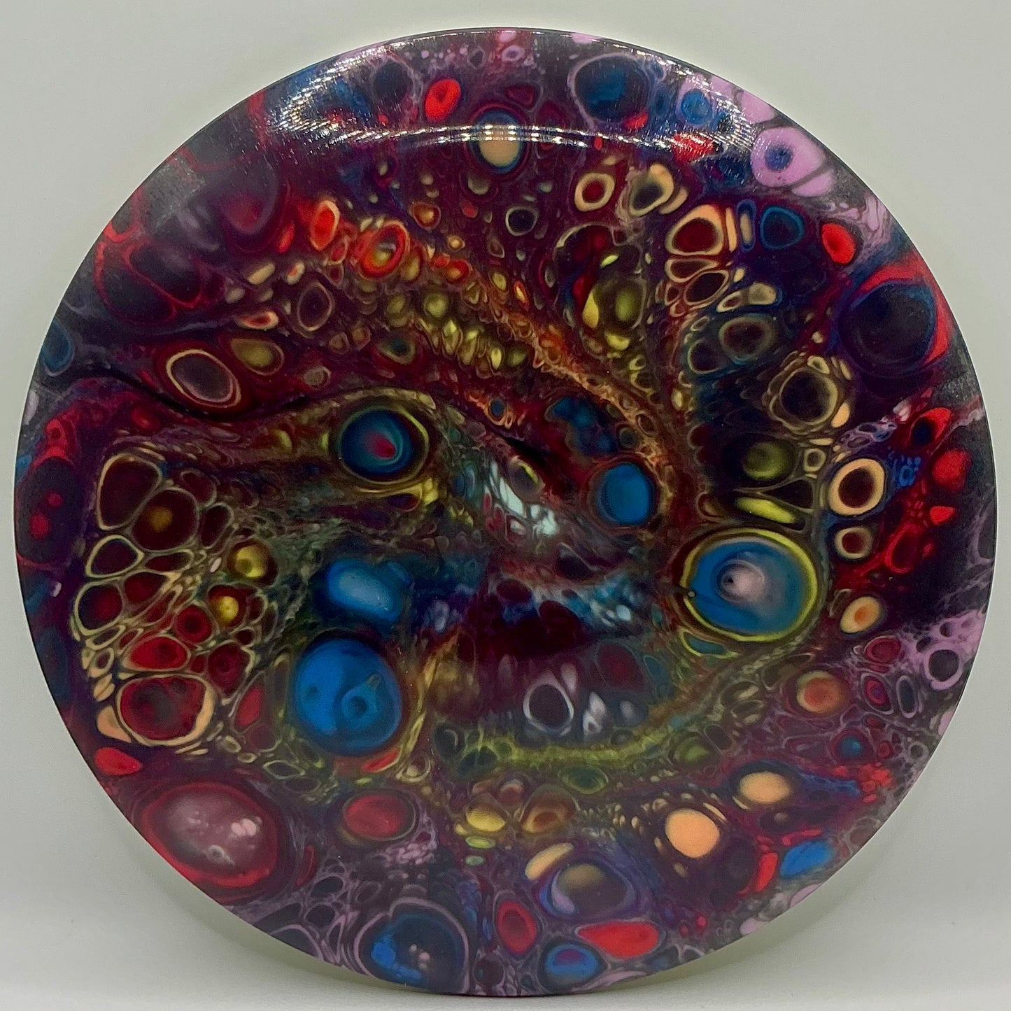 Dolfin Dyed Innova Star Wraith