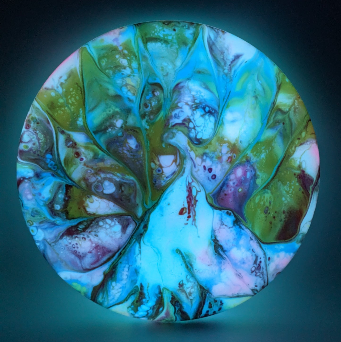 Dolfin Dyed Streamline Soft Eclipse Parachute