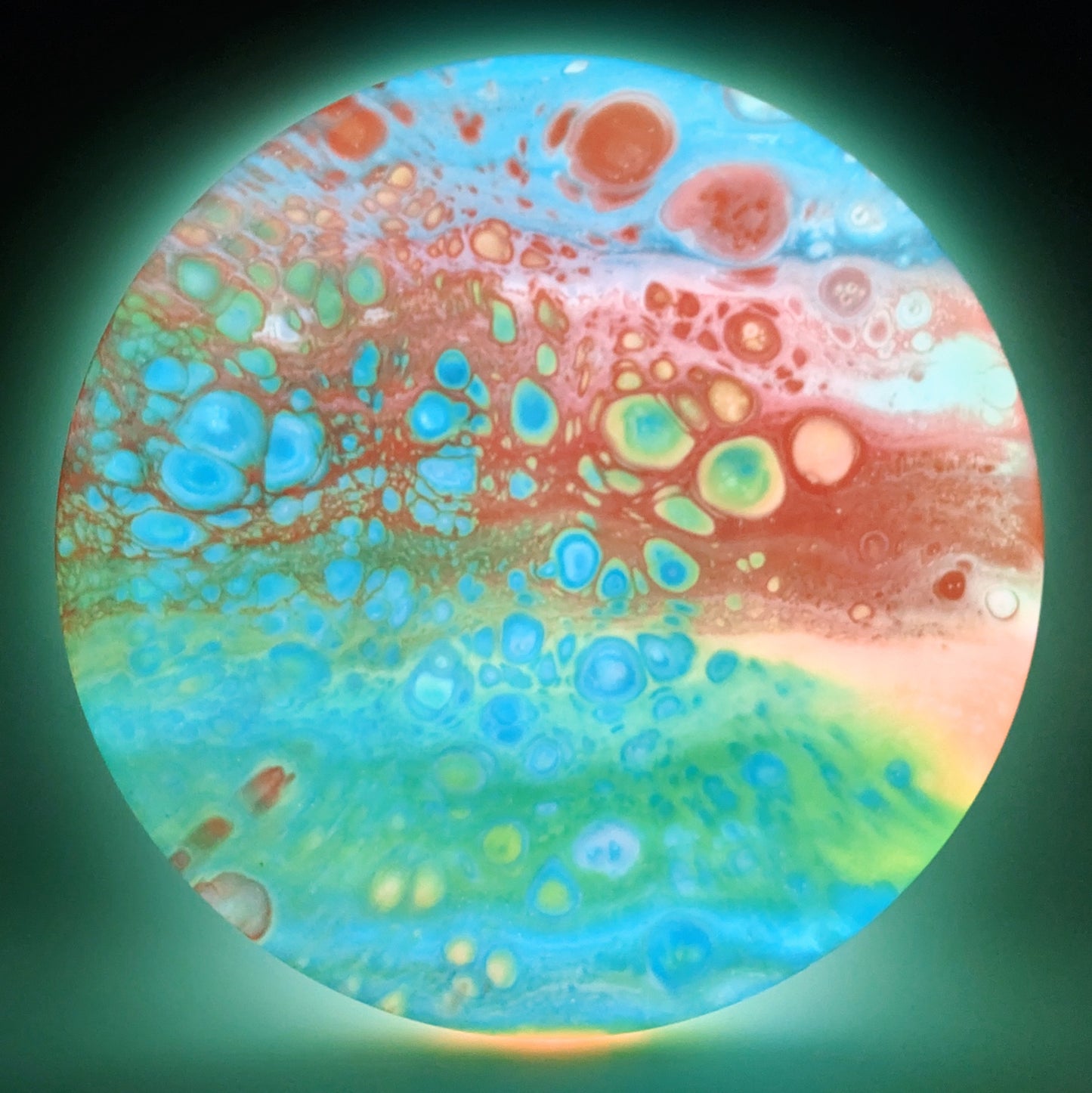 Dolfin Dyed Discraft Z Glo Zone