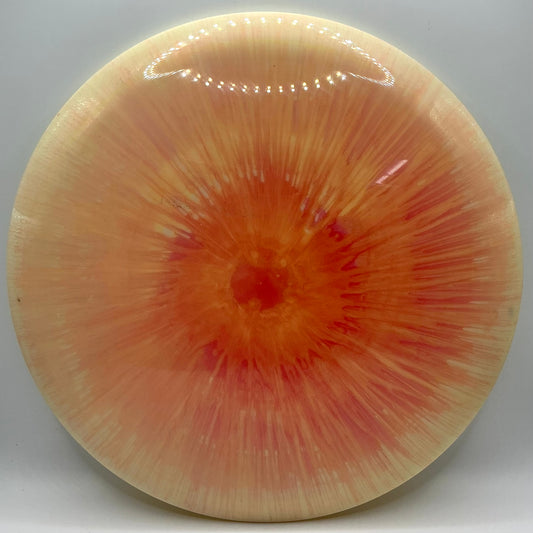 Dolfin Dyed Innova Star Rollo