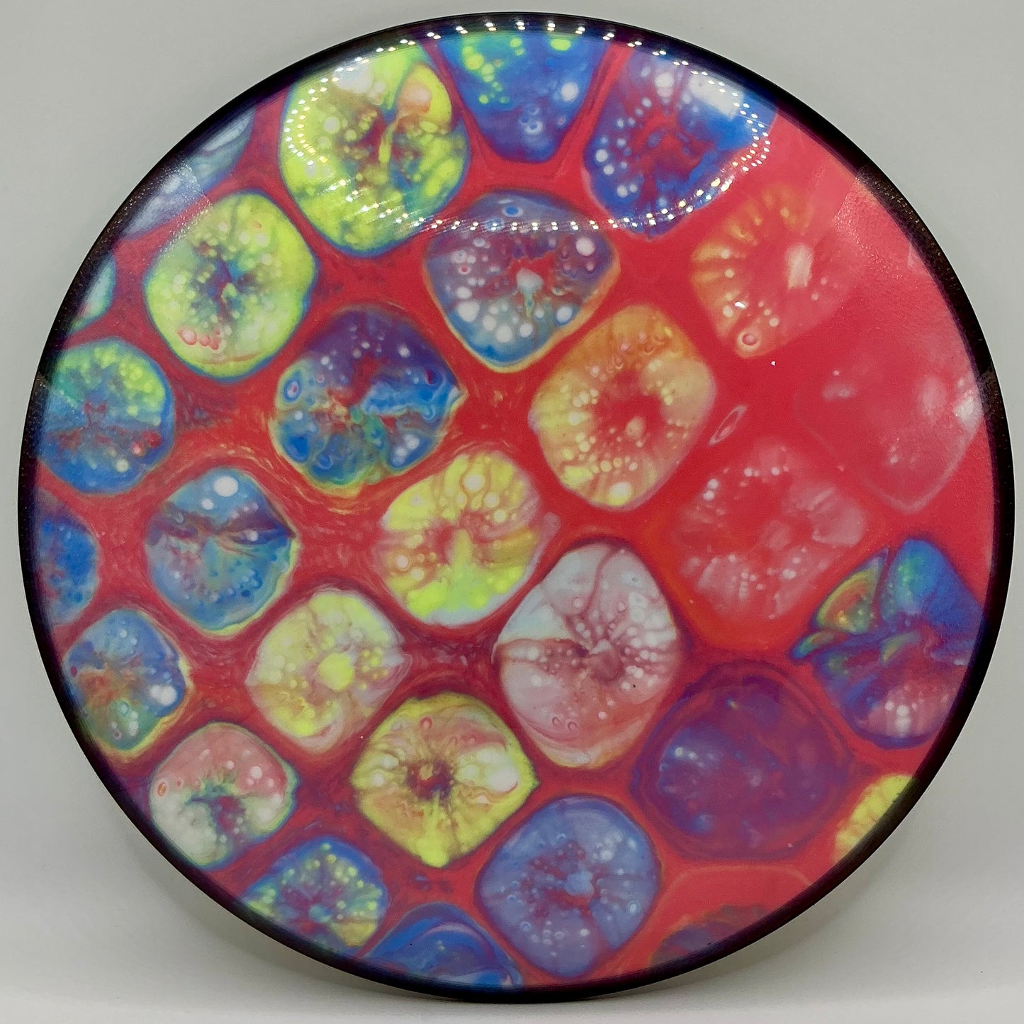 Dolfin Dyed Innova Star Roadrunner