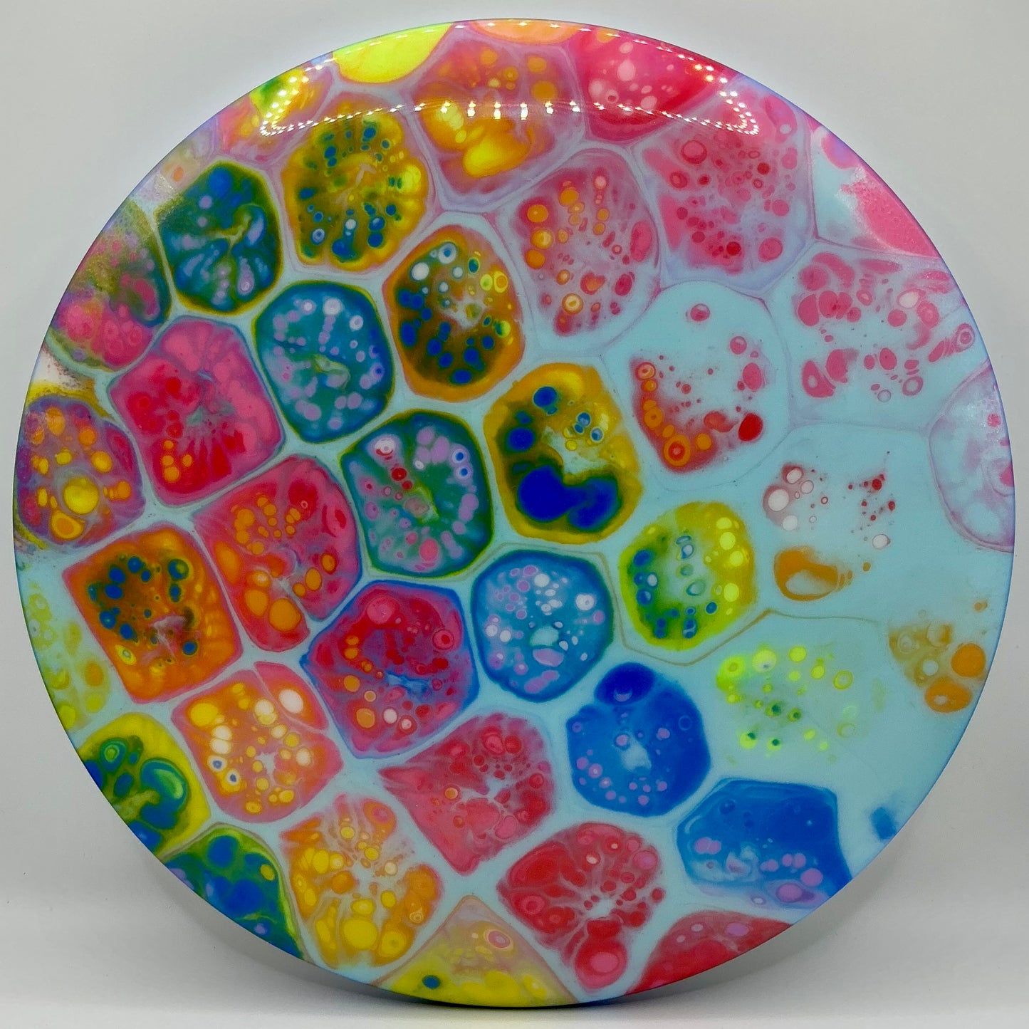 Dolfin Dyed Innova Star Mako3