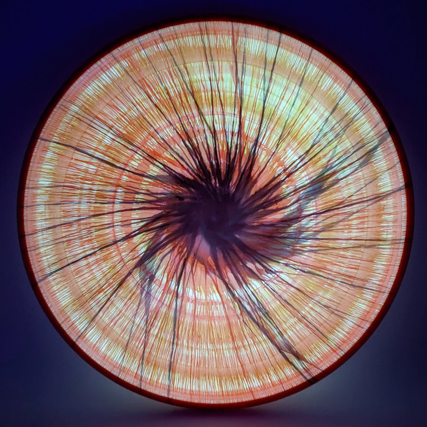 Dolfin Dyed Axiom Eclipse Pixel