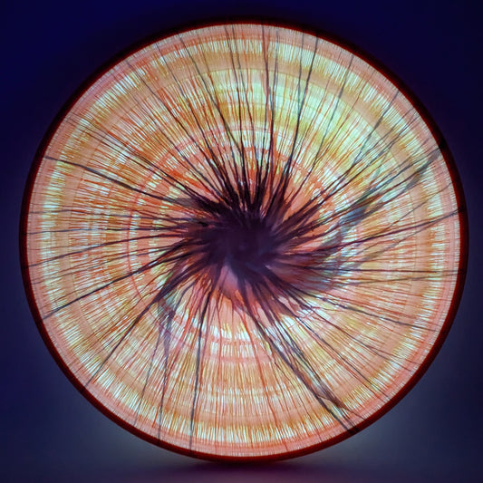 Dolfin Dyed Axiom Eclipse Pixel